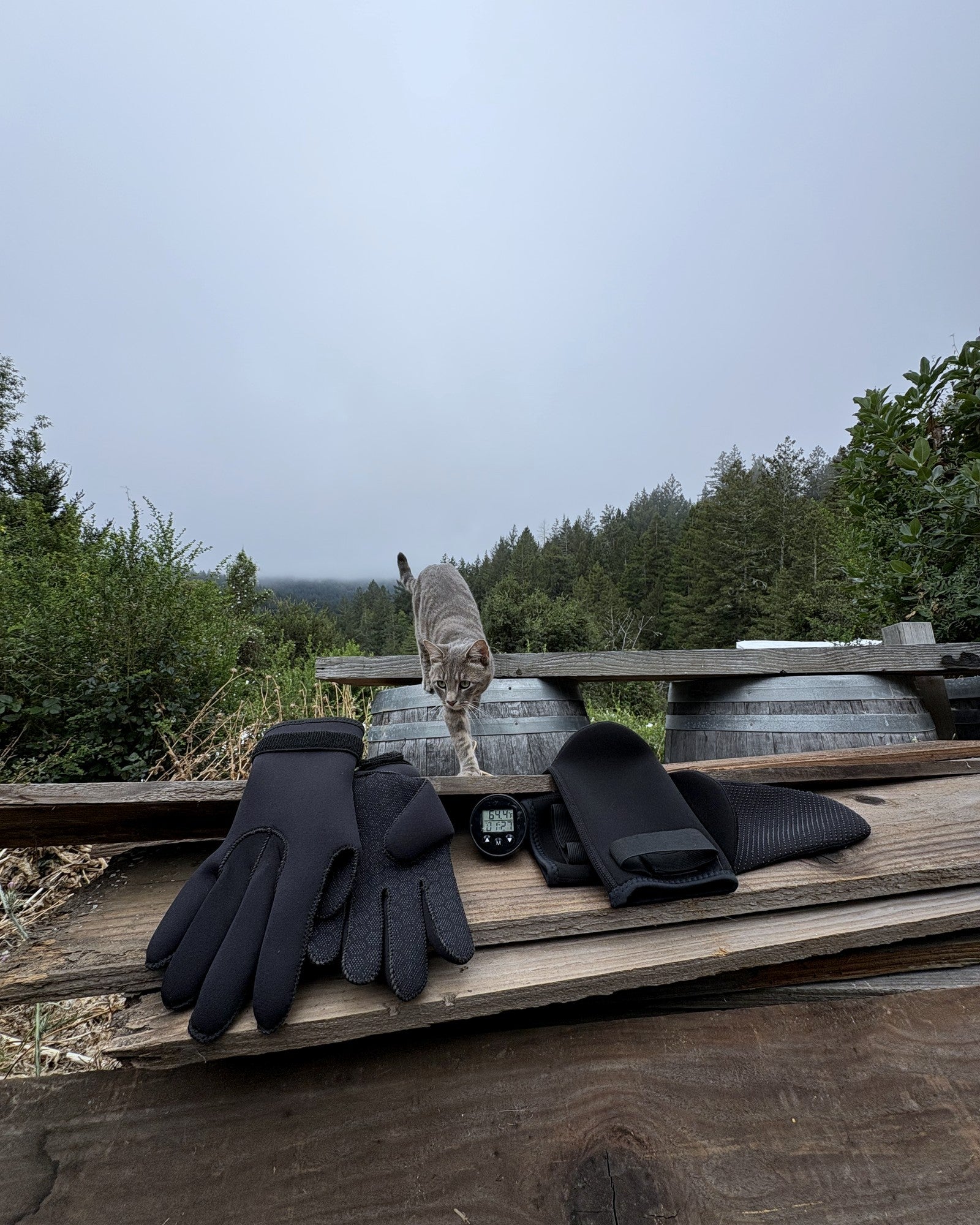 The Frost Kit