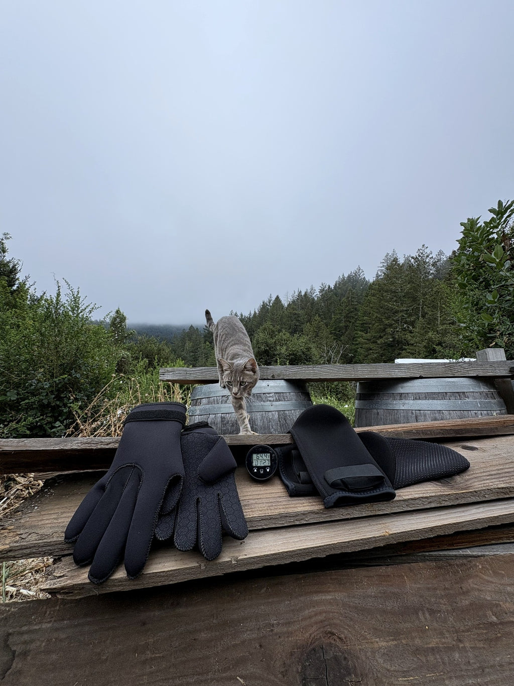 The Frost Kit | Cold Plunge Gloves, Booties, and Thermometer Bundle